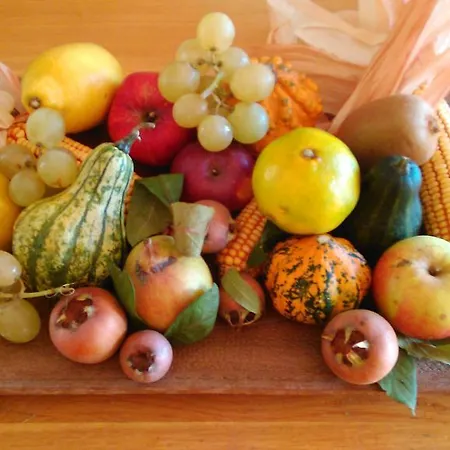 I Baloss Apartamento